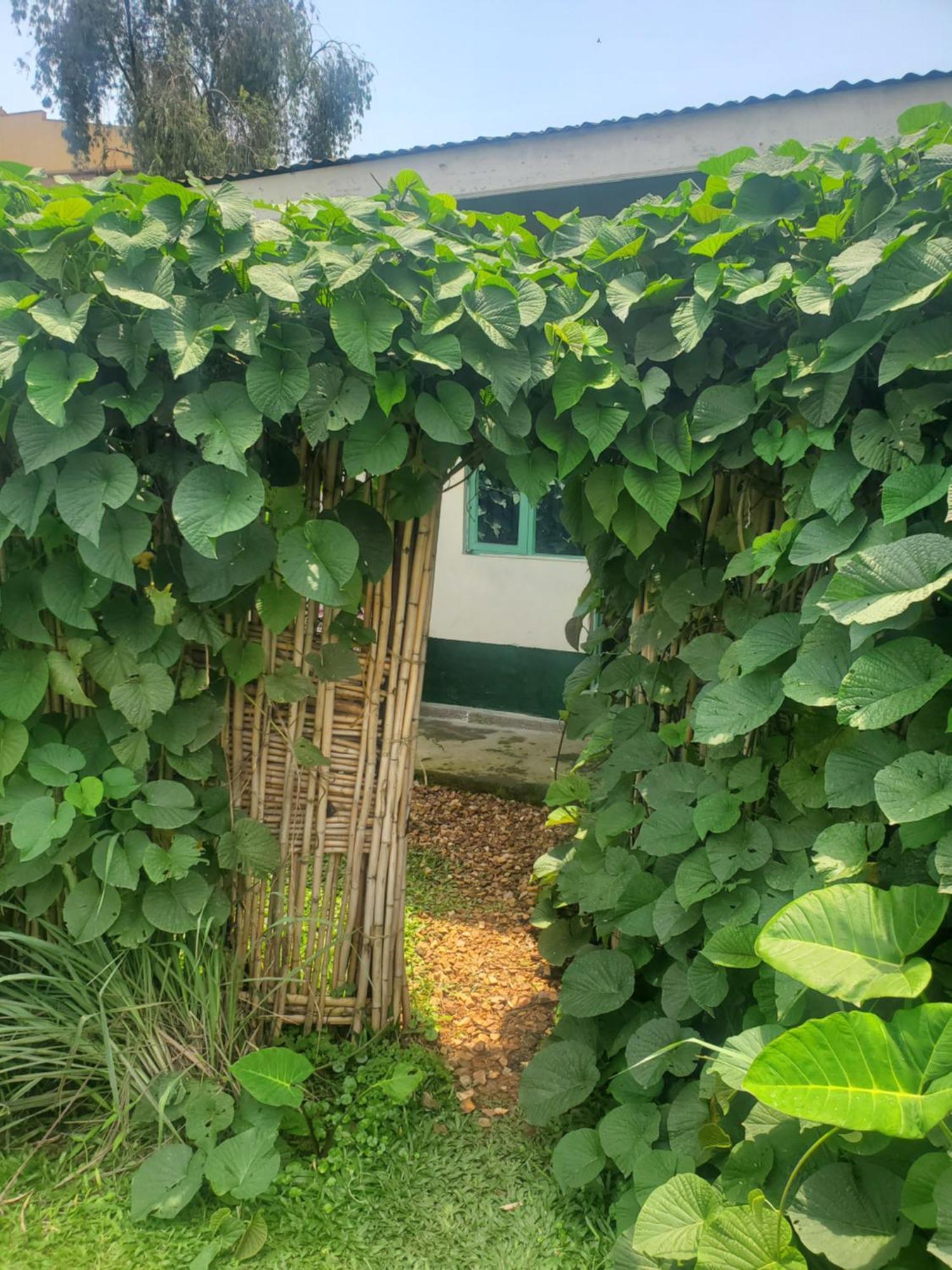 Fort Portal Gaia Eco Hub Bnb المظهر الخارجي الصورة