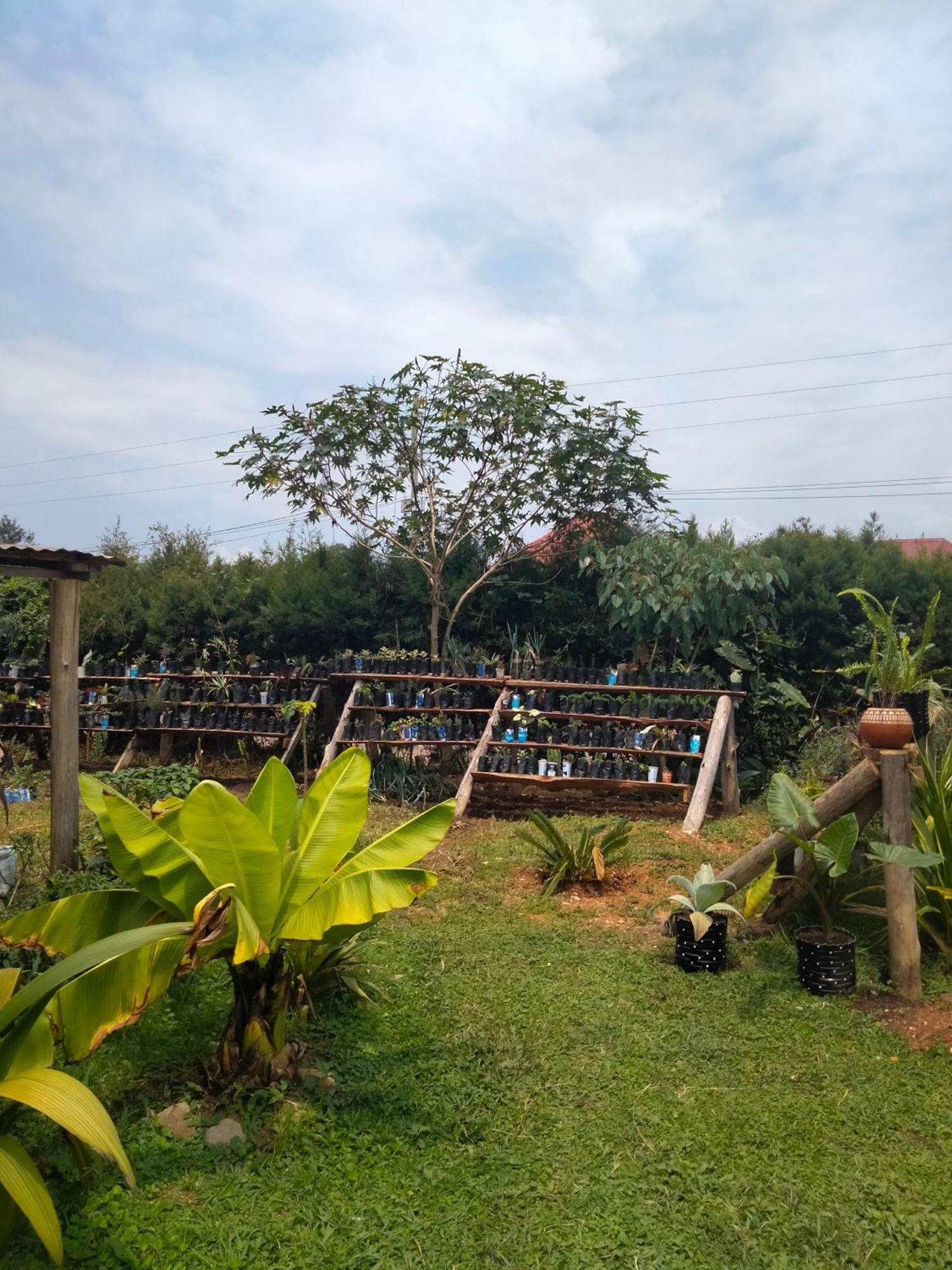 Fort Portal Gaia Eco Hub Bnb المظهر الخارجي الصورة