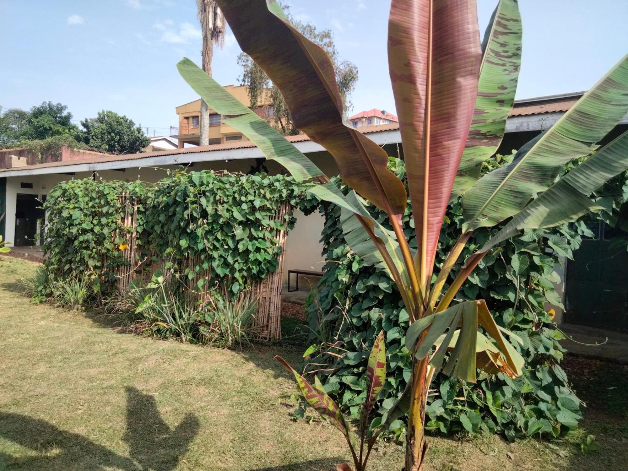 Fort Portal Gaia Eco Hub Bnb المظهر الخارجي الصورة