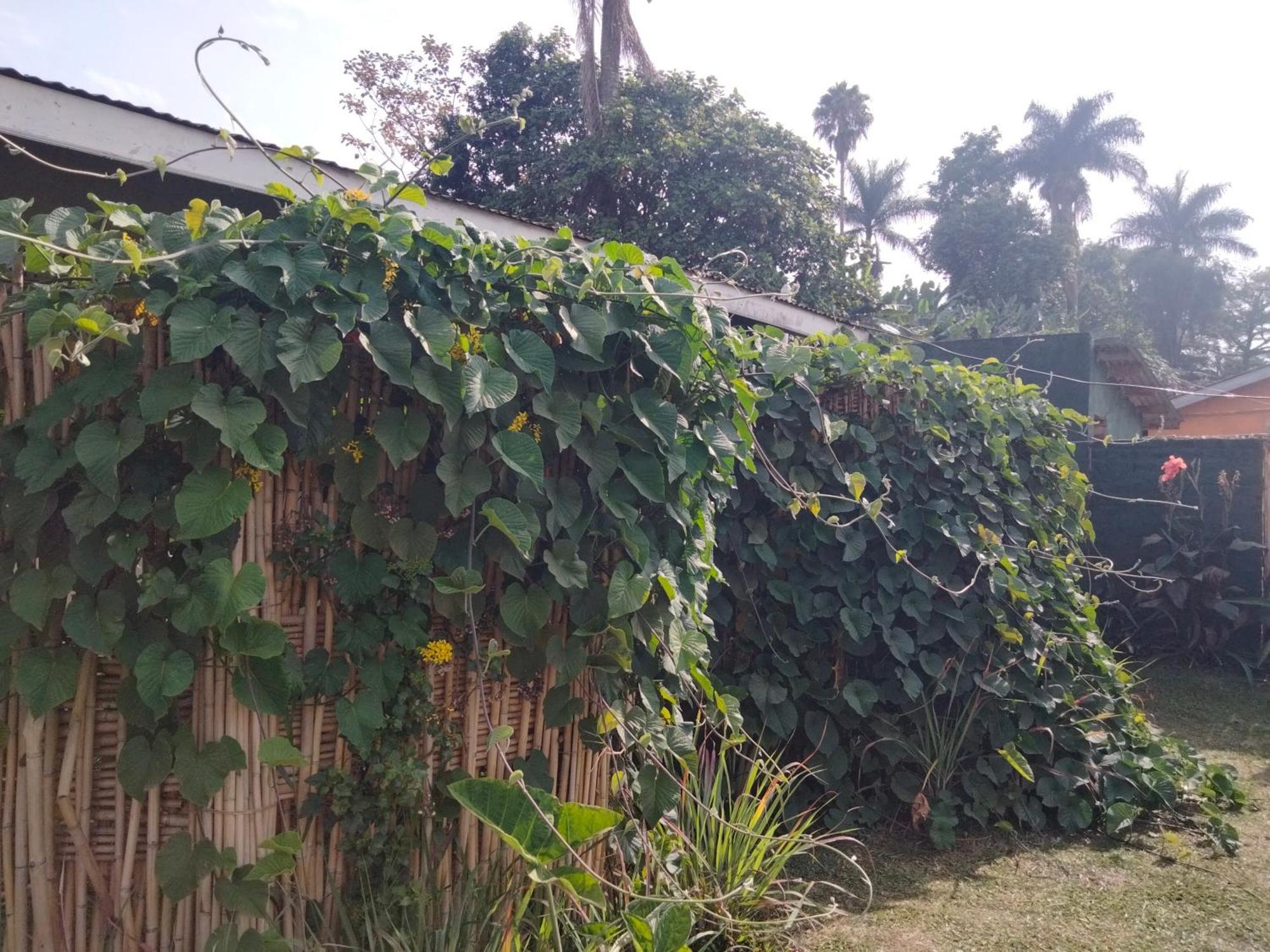 Fort Portal Gaia Eco Hub Bnb المظهر الخارجي الصورة