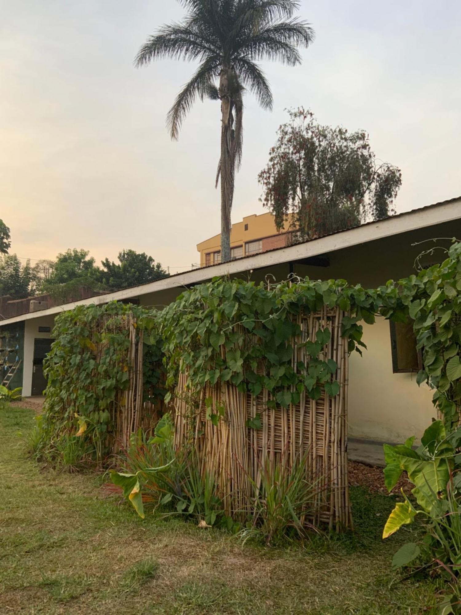 Fort Portal Gaia Eco Hub Bnb المظهر الخارجي الصورة
